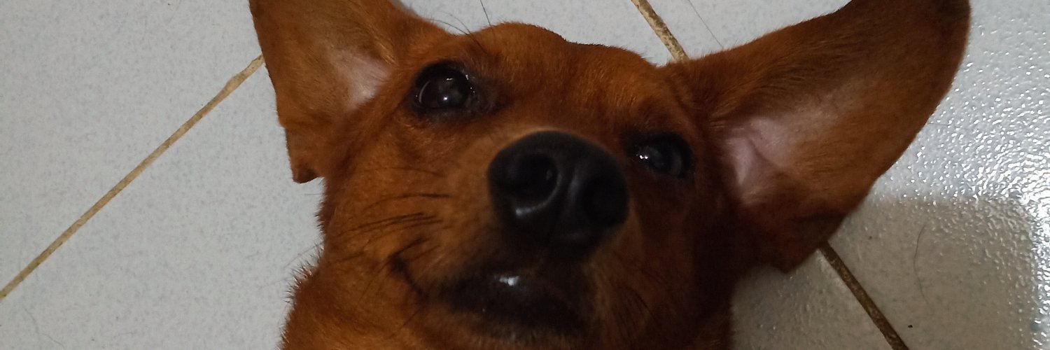 Thorkios's profile banner image