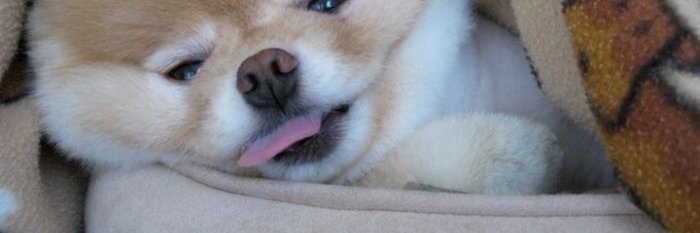 LauriceB12's profile banner image