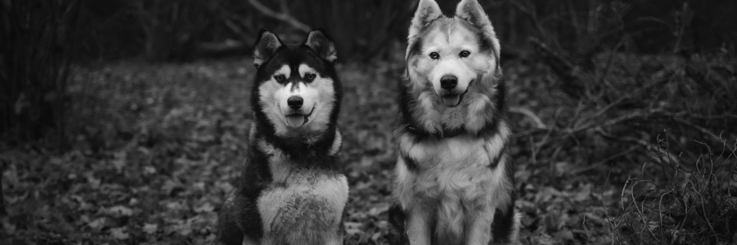 justin | Ernie banner