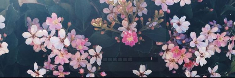 breezer310's profile banner image