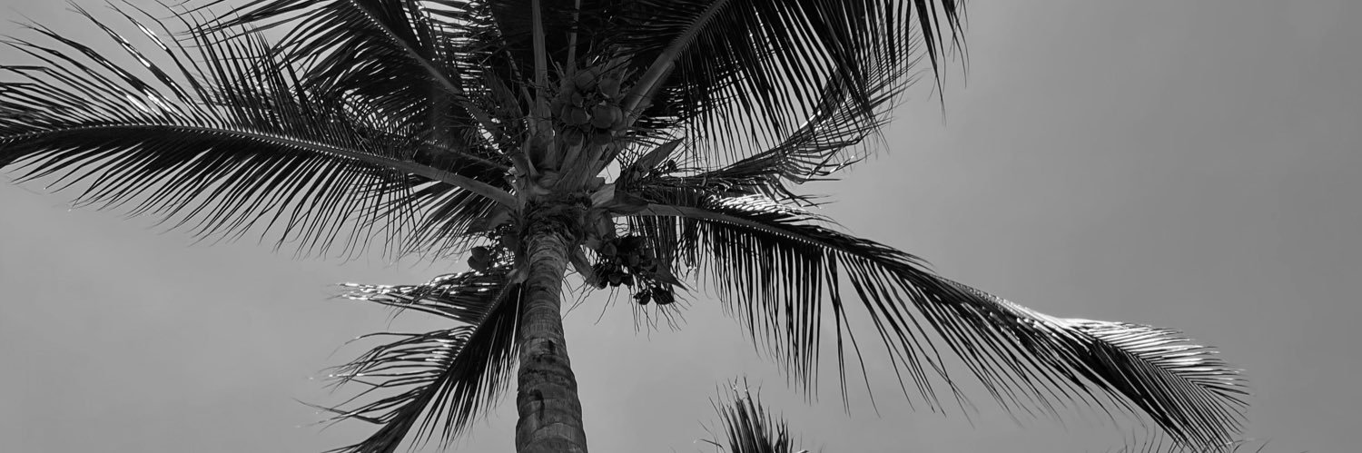 fridariverav's profile banner image