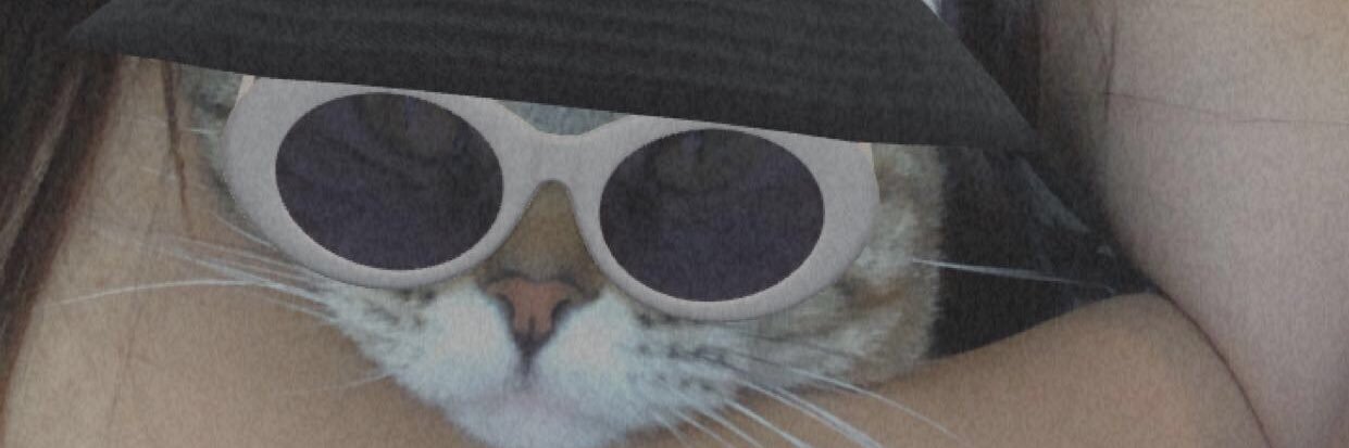JulietteWech's profile banner image