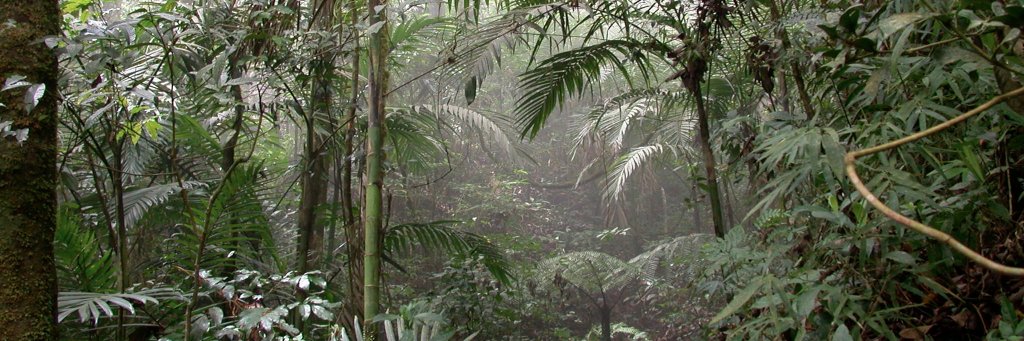 Kelly M Andersen banner