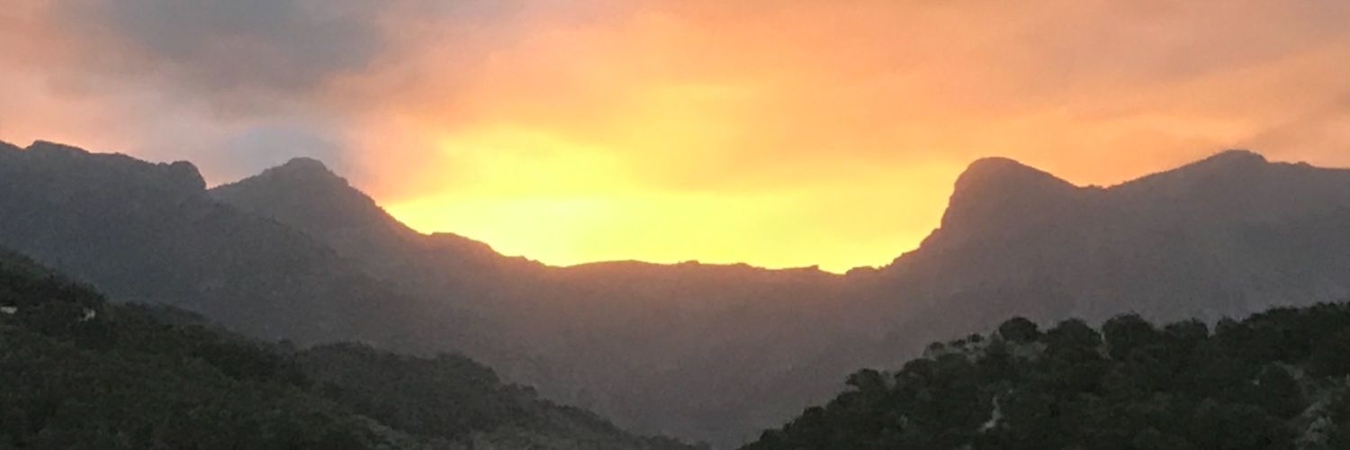 MKRALL32's profile banner image