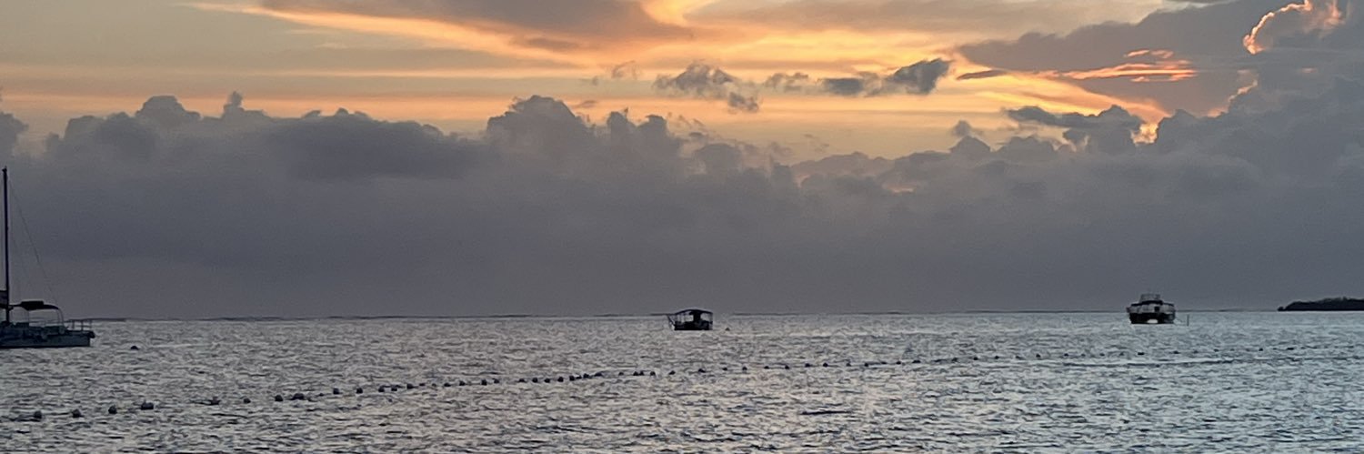 joycehalvo24's profile banner image