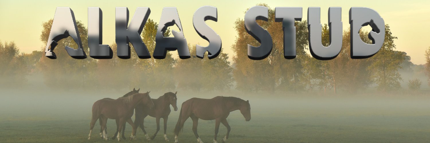Alkaş Stud banner