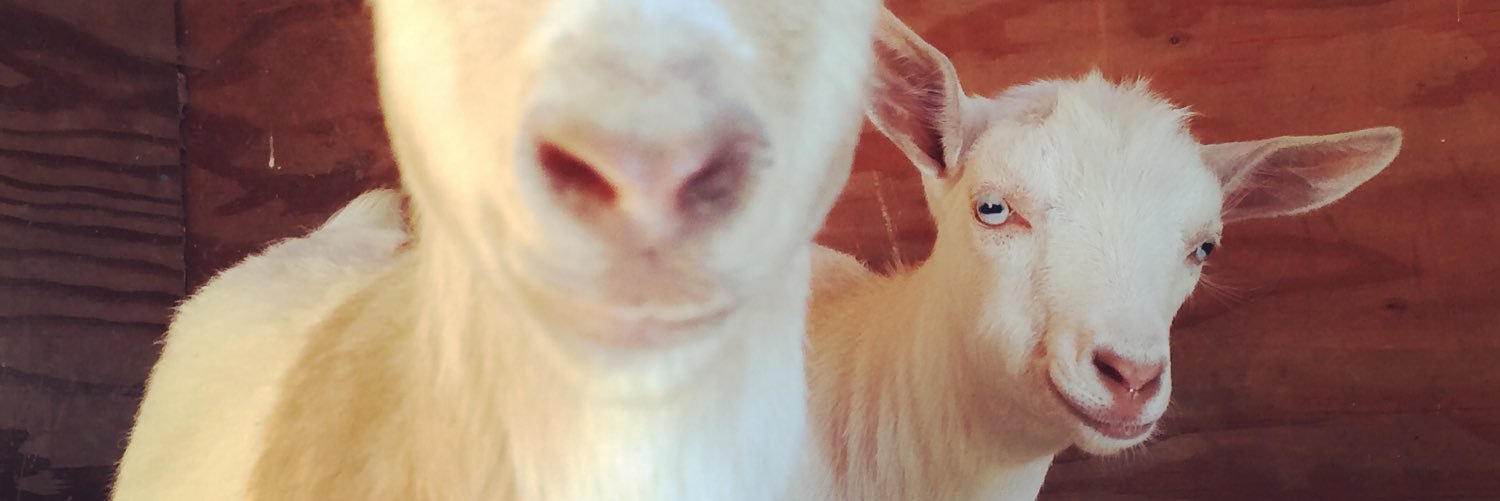 bbenthin's profile banner image