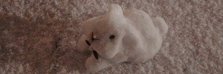 ✨이창진✨ banner