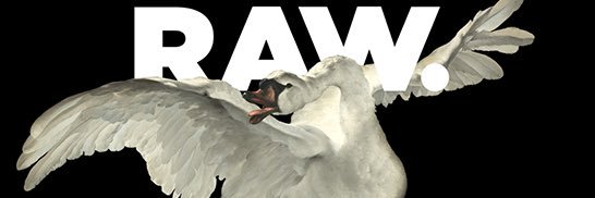 Tamezz11's profile banner image