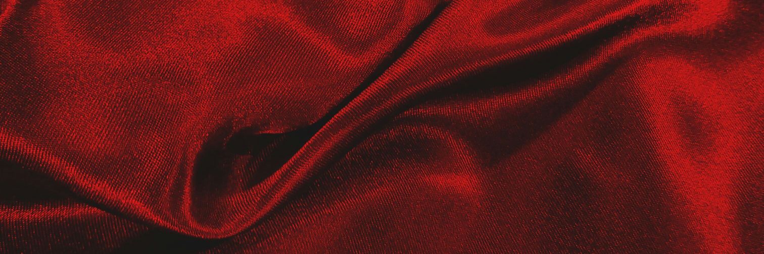 • cronenberg de calcinha • banner