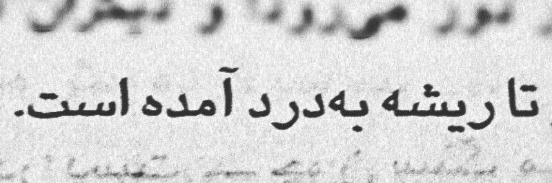 طوطیا🦦 banner