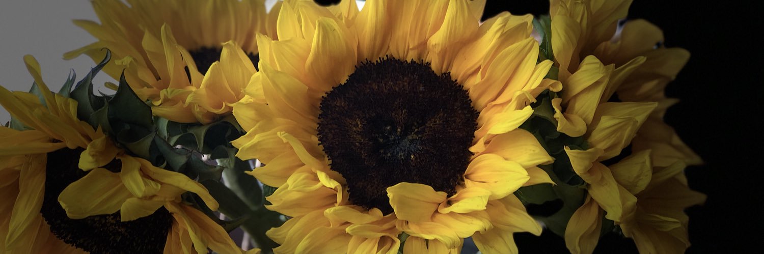 MeganBarela's profile banner image