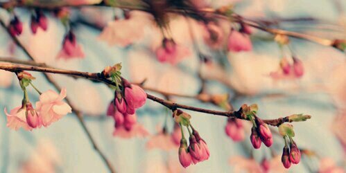 jennii_MP's profile banner image