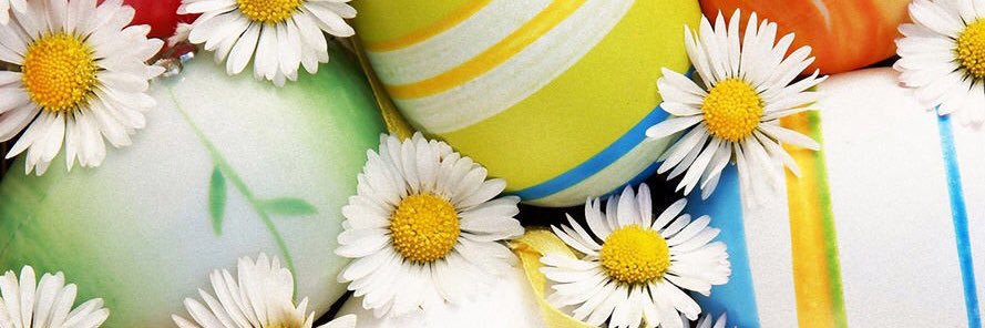 sho_pon's profile banner image