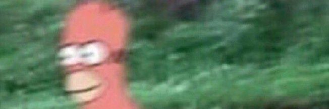 TookSanity's profile banner image