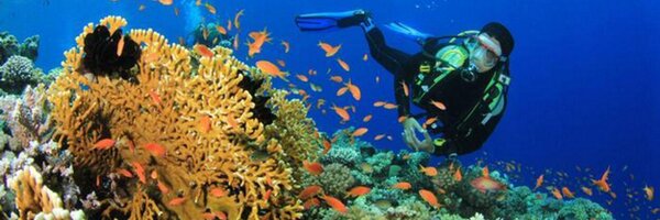 putra_manis Profile Banner