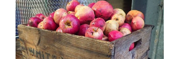 BushelPeckCider Profile Banner
