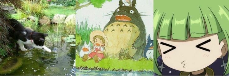 _floratwt_'s profile banner image