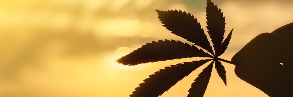 hempy_s's profile banner image