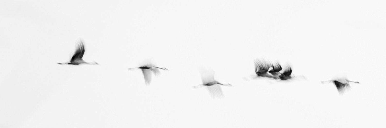 _MAPhoto's profile banner image