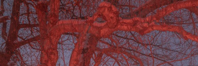 𖤐 ♡ 𖤐 (dr41n99) 𐕣 𐕣 𐕣 banner