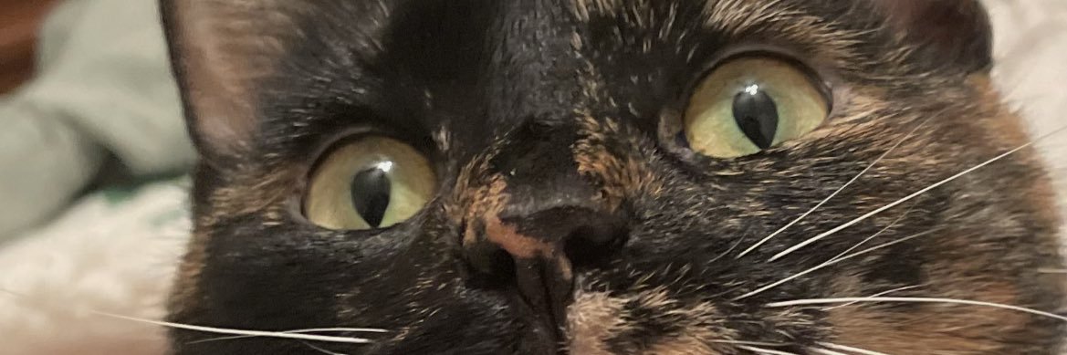 Nic_oleGleason's profile banner image