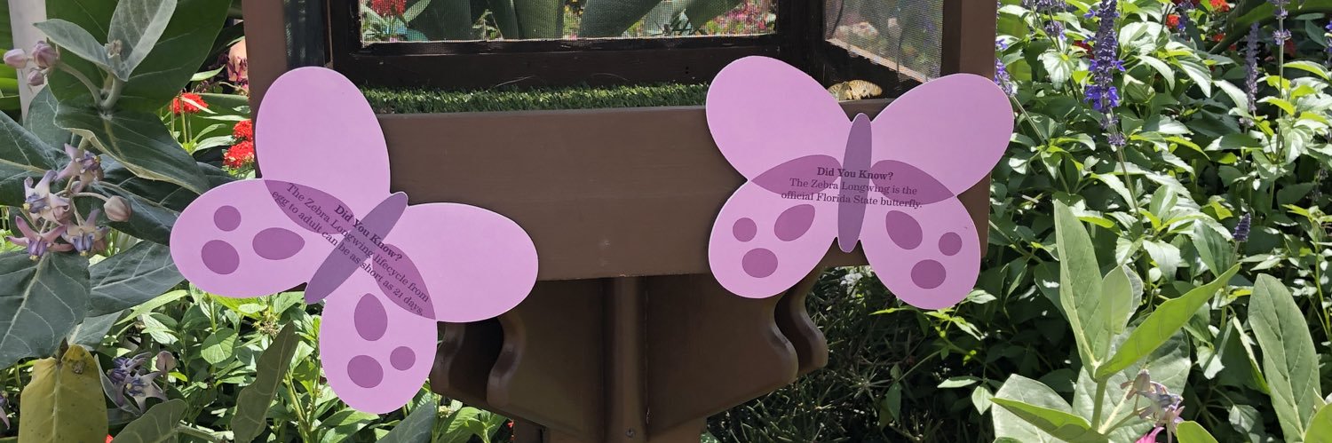 brckaplan's profile banner image