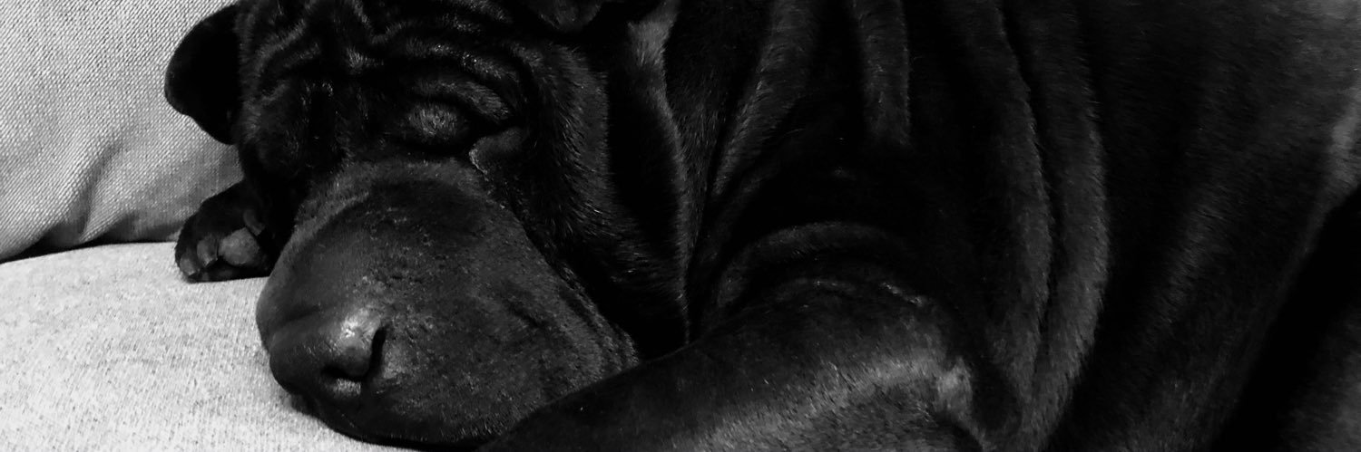 MoreBLB's profile banner image