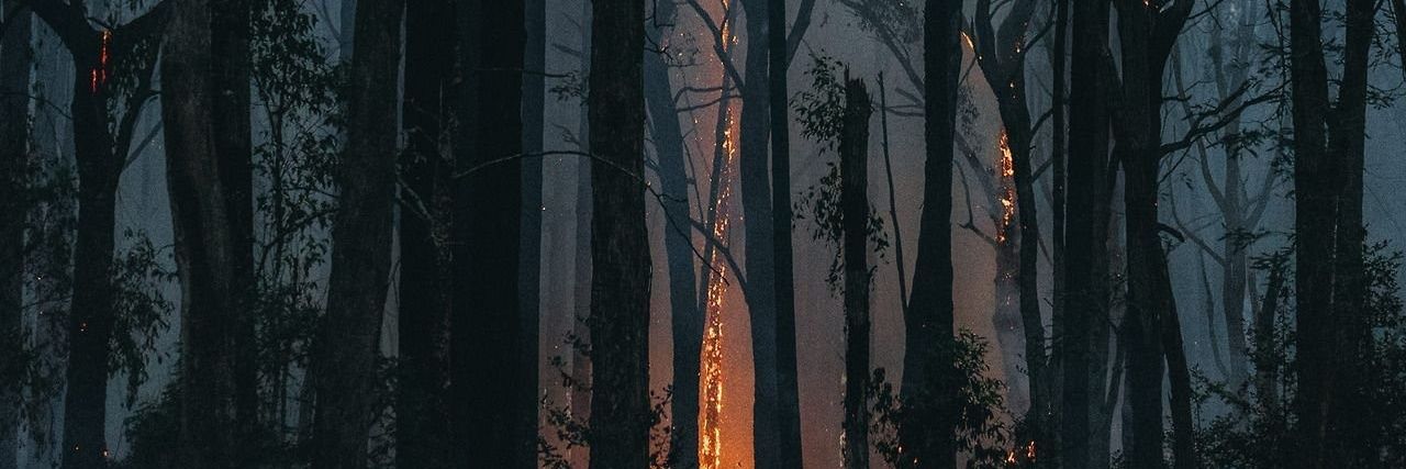 🇺🇦🌿пасивна кобець|ᵗʳᵃˢʰ ᵈᵃʸ🌸⛅ banner