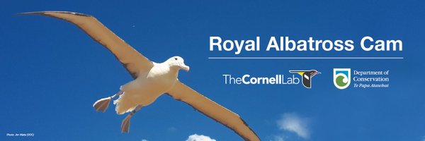 RoyAlbatrossCam Profile Banner
