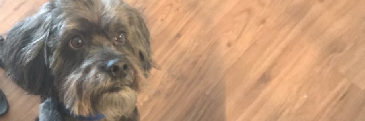 ellen_pitts's profile banner image