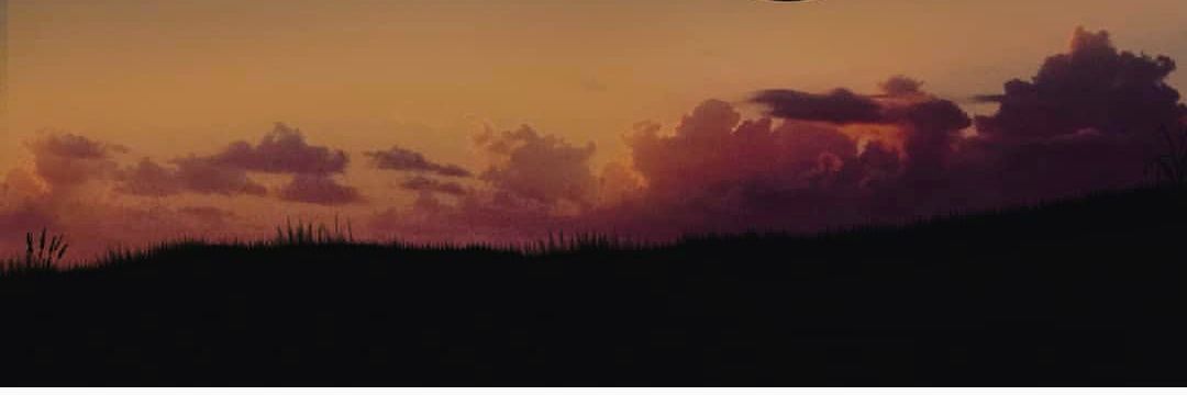anik989's profile banner image