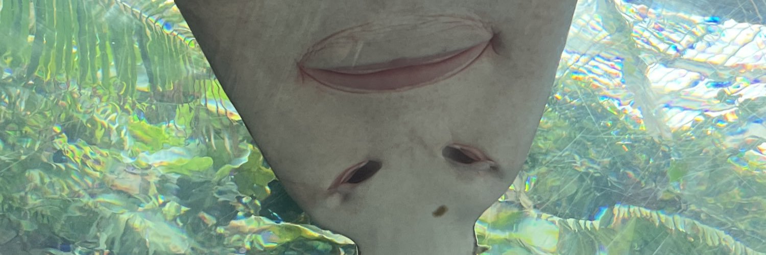 shayyrai's profile banner image