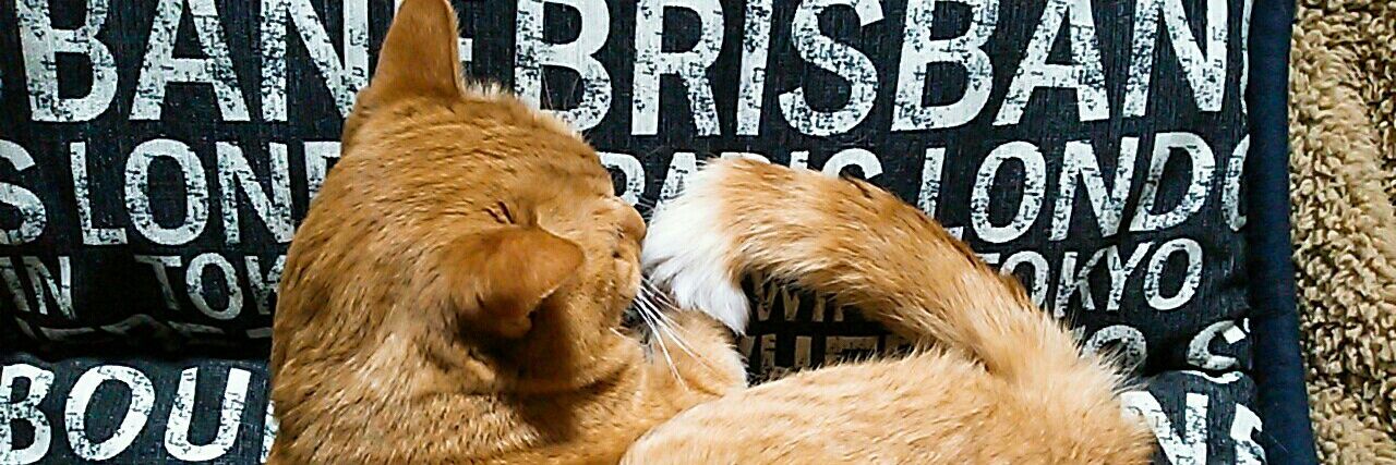 𝐬𝐮𝐠𝐚𝐫 banner