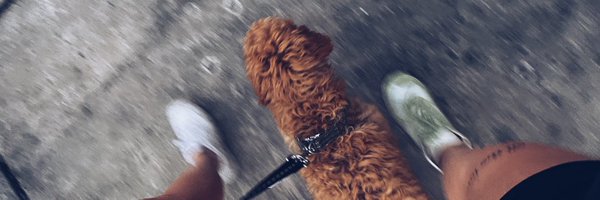 taykirsch44 Profile Banner