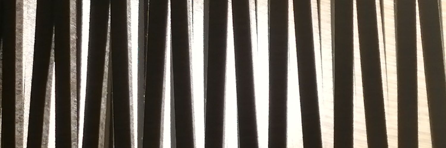 Amenamenvaca's profile banner image