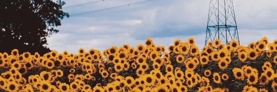 KalebThePsycho's profile banner image
