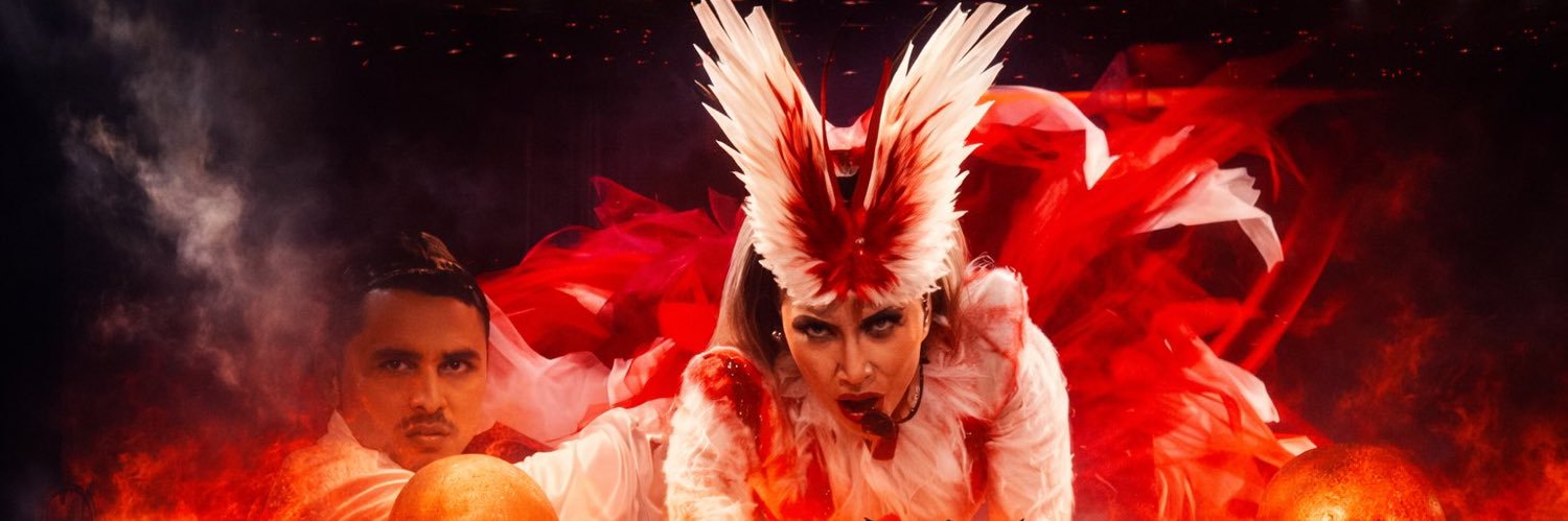 ARTPOP_X13's profile banner image
