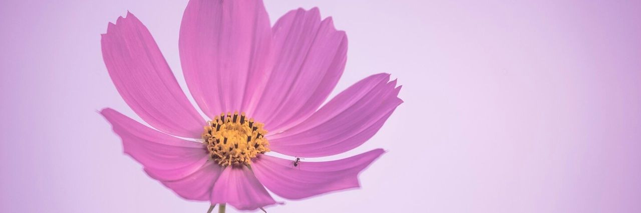 Andyarabad's profile banner image