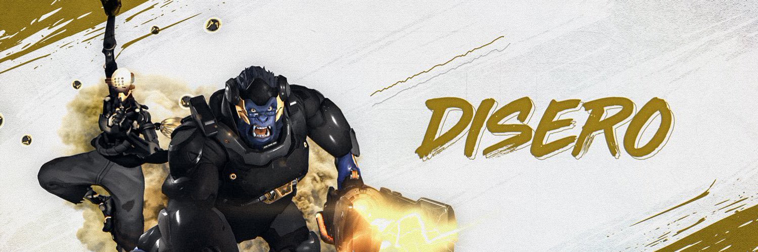 DISER0 banner