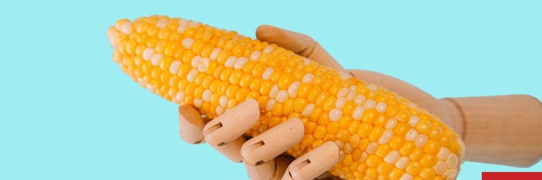 MilkerTea筋肉训练 banner