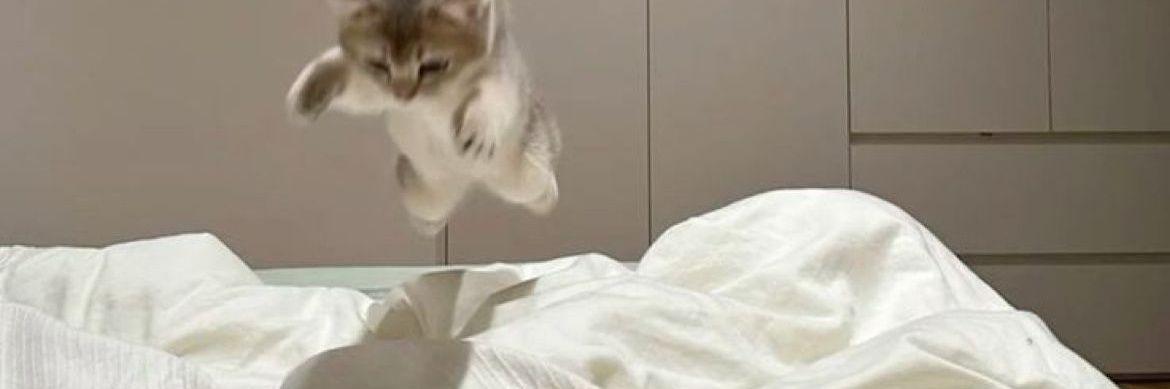 . banner
