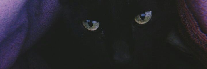 fflorbonetto's profile banner image