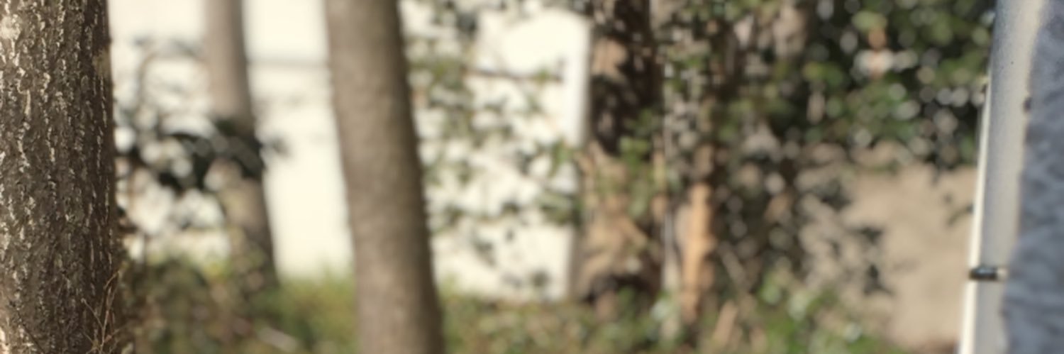 aue_cat's profile banner image
