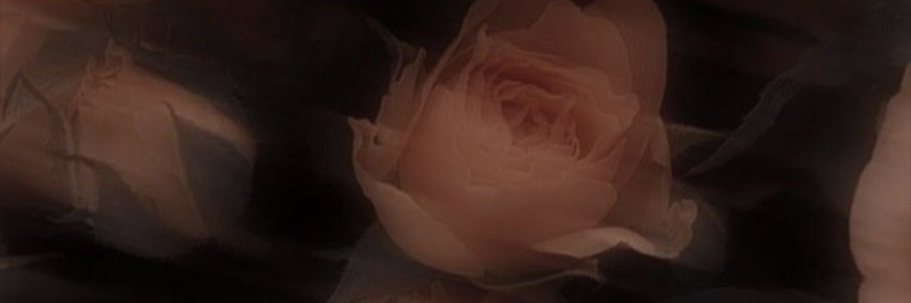Patydbg's profile banner image
