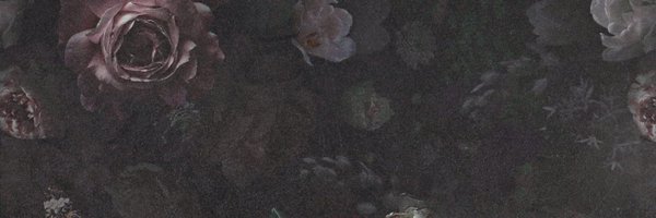 NotDollie Profile Banner