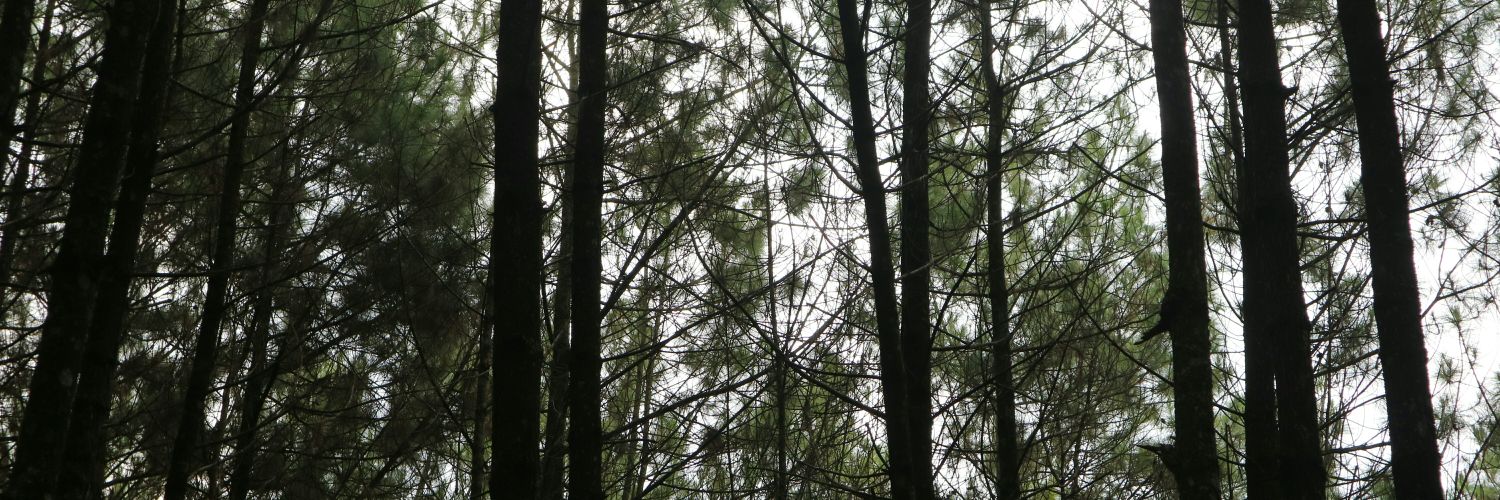 tianaputrip's profile banner image