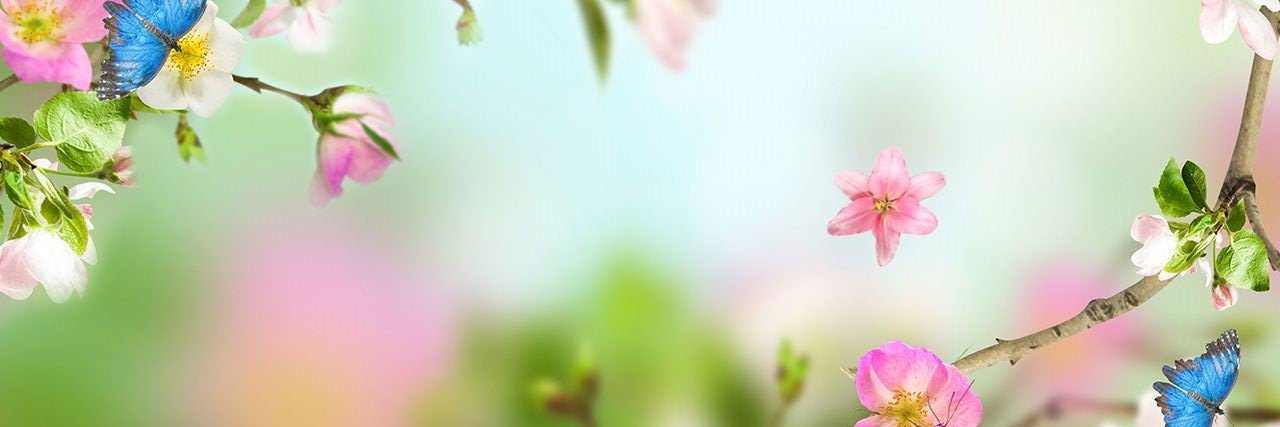 EdithG_7's profile banner image