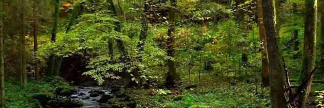 evaeazy's profile banner image