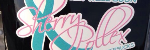 SherryPollex Profile Banner